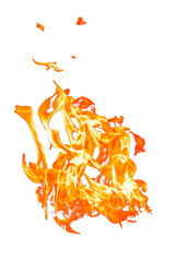 Fire flame on a white background. Burning passion, phenomenon of combustion manifested in light, flame and heat. To set on fire. Internal flame. 