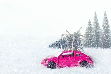 Transport Weihnachtsbaum auf einem Auto	