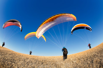 paragliders