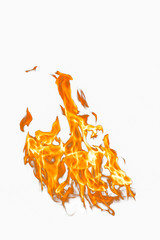 Fire flame on a white background. Burning passion, phenomenon of combustion manifested in light, flame and heat. To set on fire. Internal flame. 