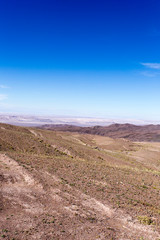 Fototapeta na wymiar A desert view from Panamericana, route 5