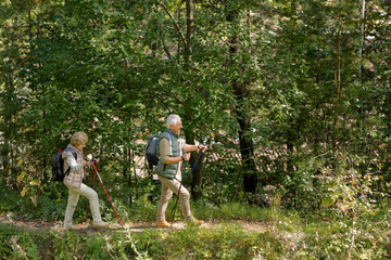 Naklejka na ściany i meble Senior couple in activewear walking down forest path with trekking sticks