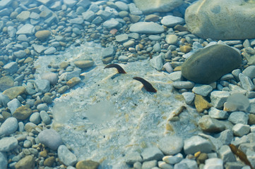 Danger on the seabed near the sea