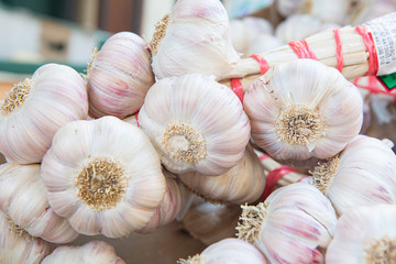 Bouquet of fresh garlic in selective focus.