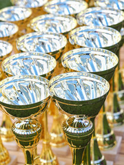 Gold cups are on the table before the presentation.