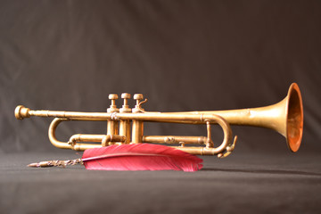trumpet isolated on black background