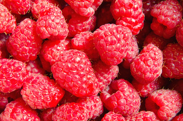 raspberry background