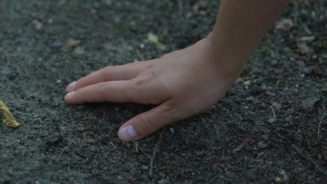 Hand grabbing ground dirt in woods, soil depletion and pollution, ecology