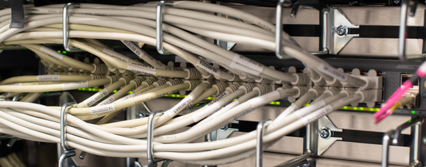 Netzwerkkabel an einem Netzwerk Switch f&uuml;r eine Cloud Umgebung 