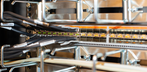 Netzwerkkabel an einem Netzwerk Switch für eine Cloud Umgebung 