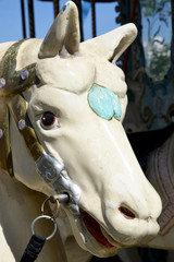 merry-go-round horse portrait at amusement park