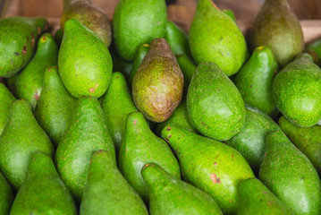 Bunch of fresh and natural green avocado sold At a farmers market