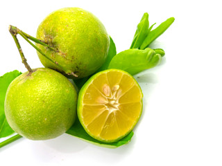 Various lemon fruits and leaves, isolated on a white background.