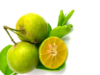 Various lemon fruits and leaves, isolated on a white background.