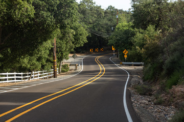 road in forest