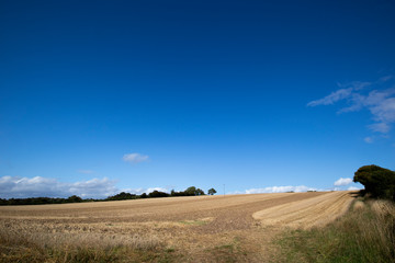 Obraz premium Clouds over recently harvested crop with stubble left in field in the rural county of Hampshire