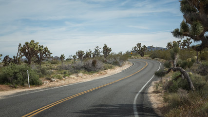 Naklejka premium road in mountains