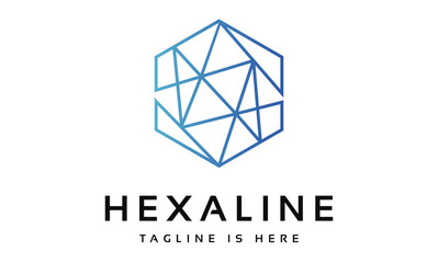 Fototapeta premium Hexa Line Logo