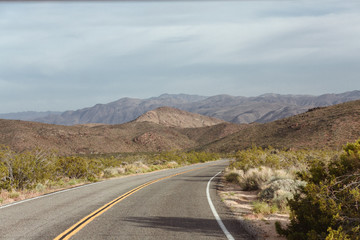 Landscape at Joshua Tree Nationalpark