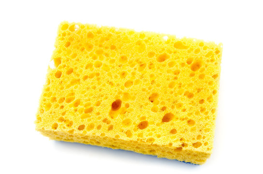 Yellow Sponge