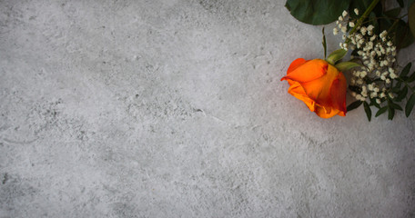 Top view of orange rose for Valentine's Day
