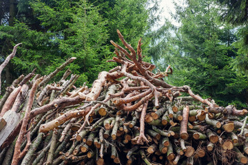 Stack of fire woods