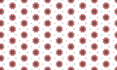 Beauty Full Flower On White Background