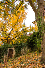 Obraz premium Garten am Domplatz in Bamberg im Herbst