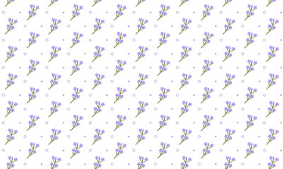 Beauty Full Flower On White Background