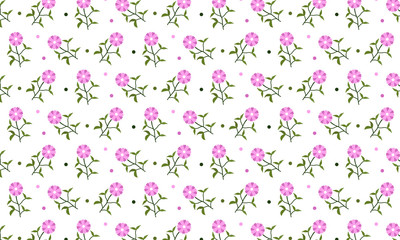 Beauty Full Flower On White Background