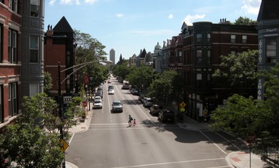 Tree-Lined Street