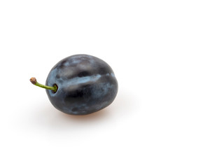 Ripe purple plum on a white background