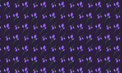 Colorful Flower On Dark Background