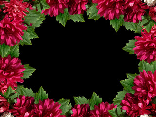 frame of burgundy chrysanthemums on a black background.