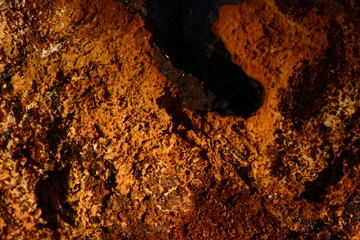 Chaga texture background of mushroom growth on a birch tree trunk