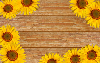 yellow sunflowers on the background of wooden boards.
