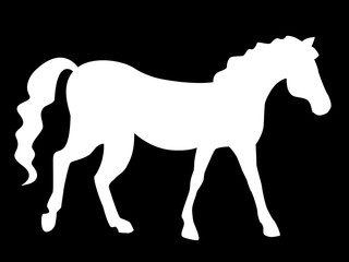 White silhouette of a horse on a black background.
