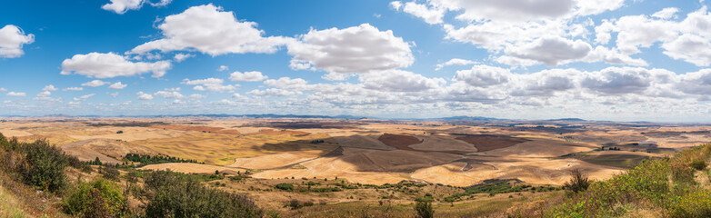 Fototapeta na wymiar Western Panorama of the Rolling Farmland of the Palouse to the Horizon from the Steptoe Butte in Washington State