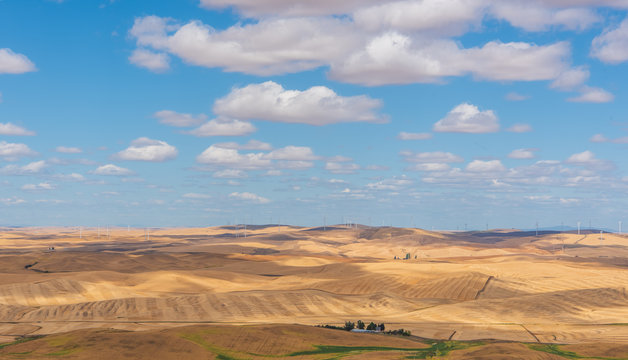 Wind Turbines on the Horizon in Western Landscape of Rolling Farmland of the Palouse Shot from Steptoe Butte in Washington State
