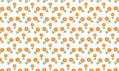 Colorful Flower On White Background