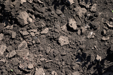 Dry earth ground with mud loose tubers. The concept of agriculture and fertility