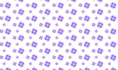 Colorful Flower On White Background