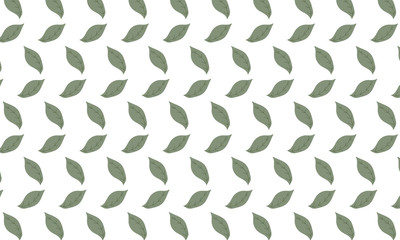 Clean Green Cosmos Leaves Pattern Background