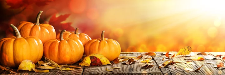 Fotobehang Banner Of Thanksgiving Pumpkins And Leaves On Rustic Wooden Table With Sunlight And Bokeh On Orange Background - Thanksgiving / Harvest Concept © Philip Steury