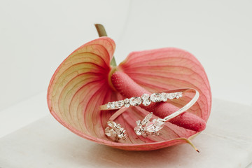 Luxury jewelry arranged on a green leaf and a pink flower