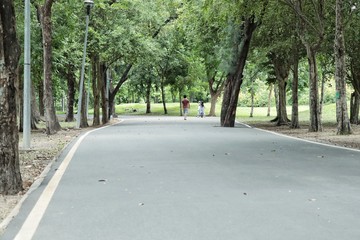 road in the forest