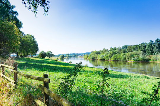 landscape trees and grass along river Weser in Rinteln, Germany