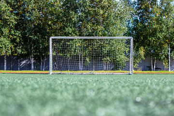 Fototapeta premium Football goal.
