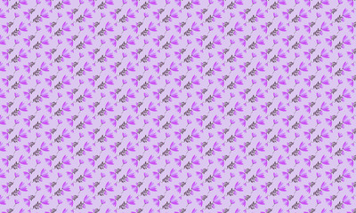 Amethyst Raspberry Bloodroot Flower Light Purple Background Vector
