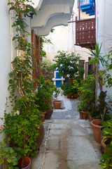 Fototapeta na wymiar Flowery narrow street on a greek island Nissiros.